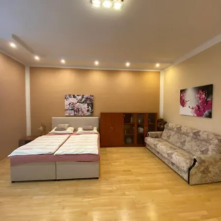 Holicak Apartment Olomouc Exterior photo
