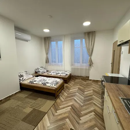 Holicak Apartment Olomouc Exterior photo