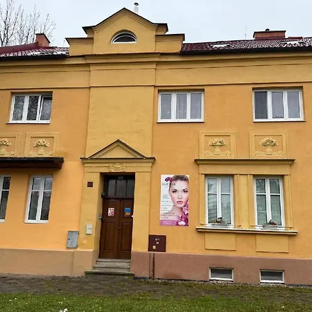 Holicak Apartment Olomouc Exterior photo