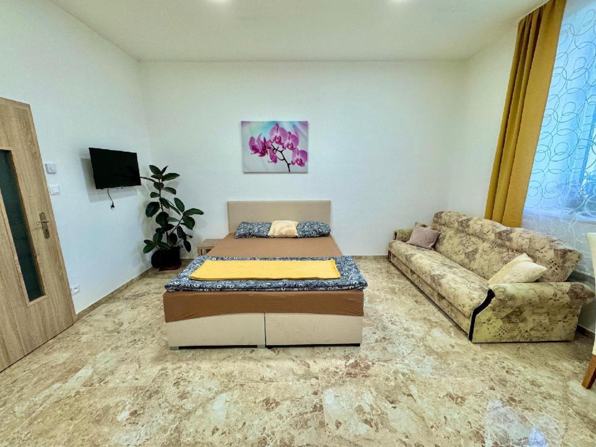 Apartment Holicak *