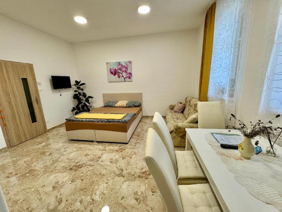 Apartment Holicak *