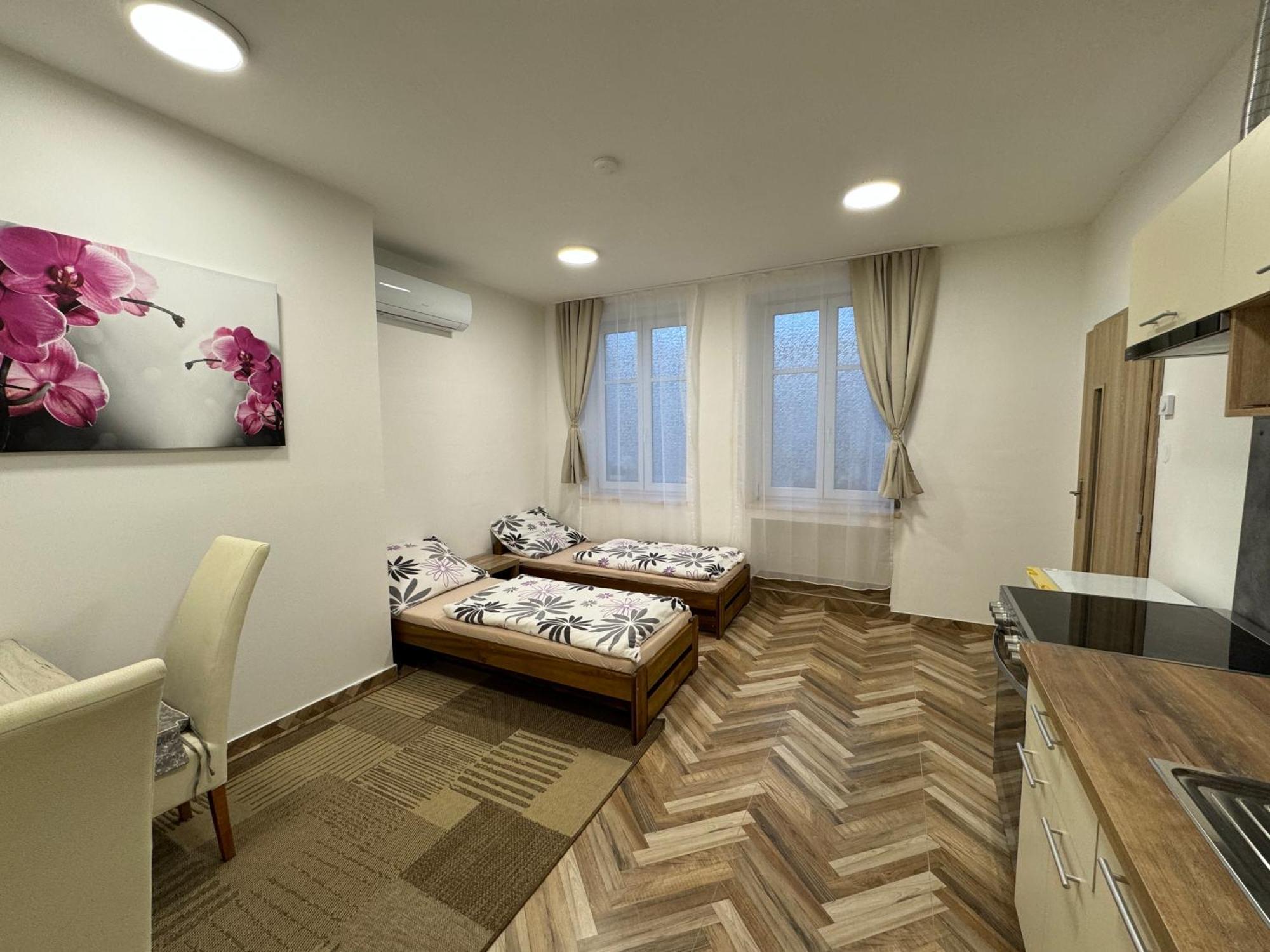 Holicak Apartment