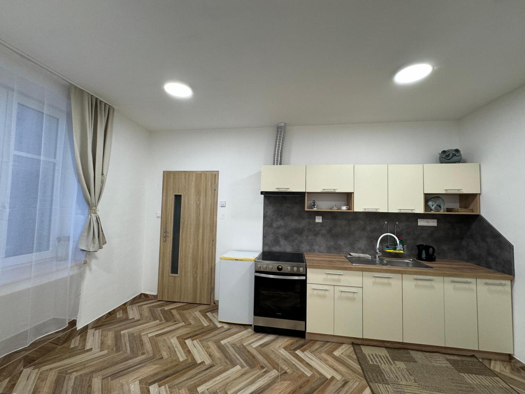 Apartment Holicak *