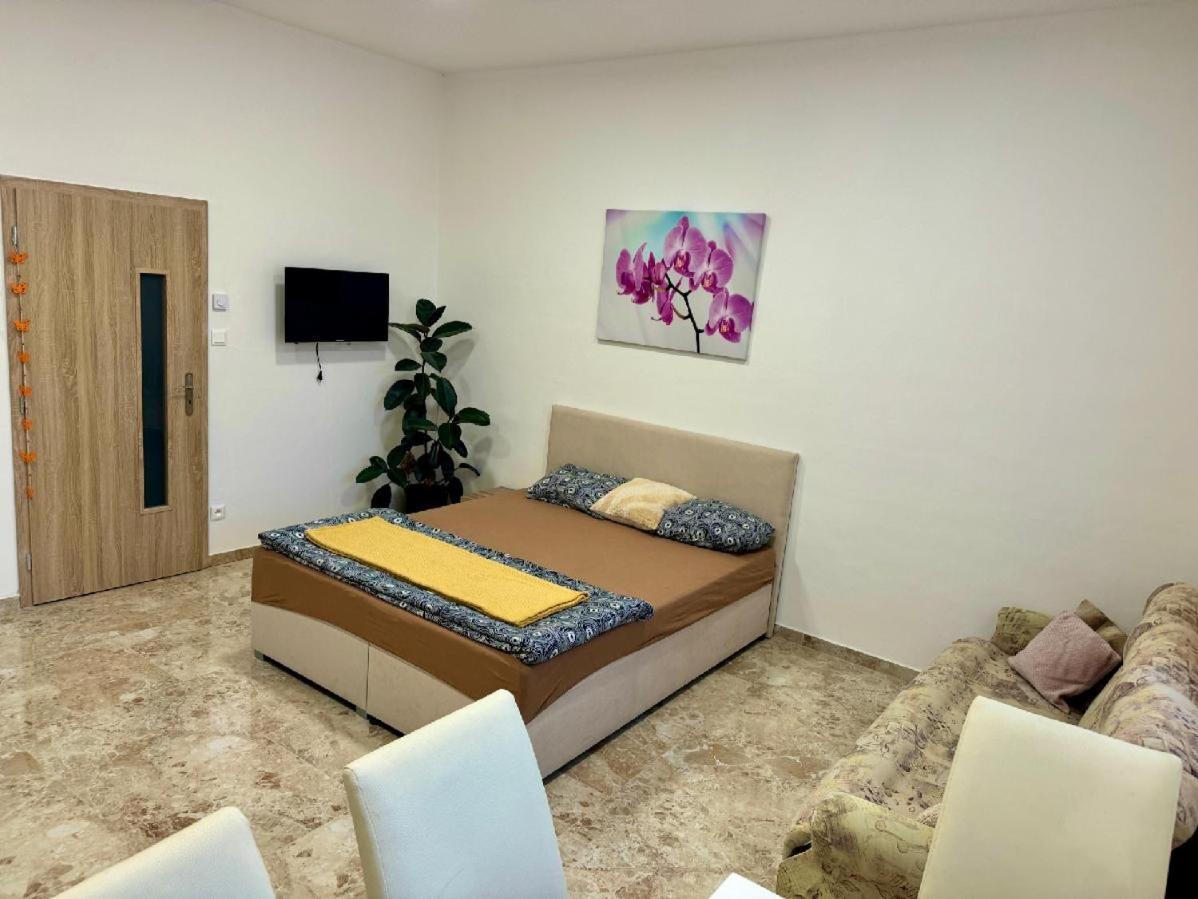 Holicak Apartment Olomouc